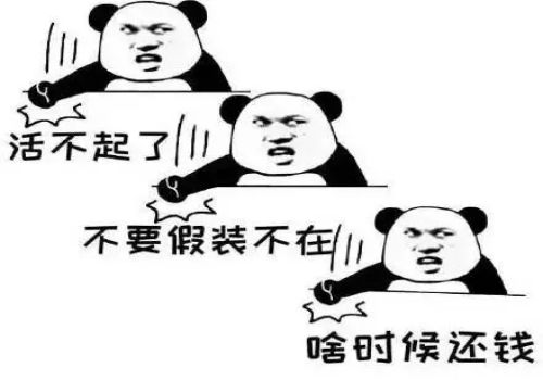 保证合同约定的保证期限为多少年